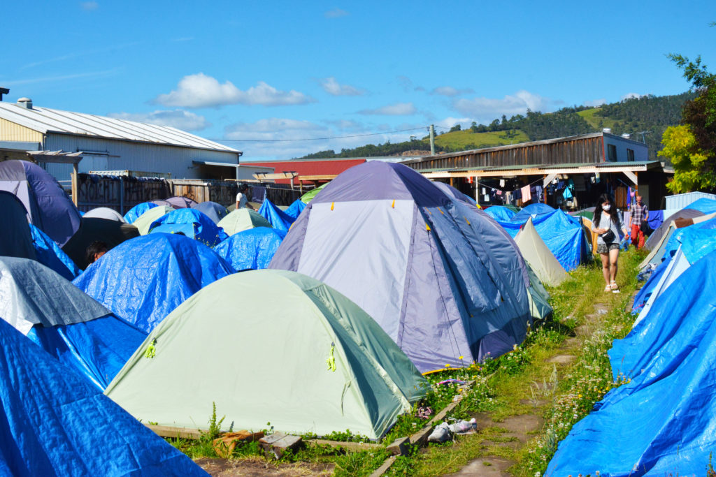 リトルデビルバックパッカーズ　キャンプ　テント
